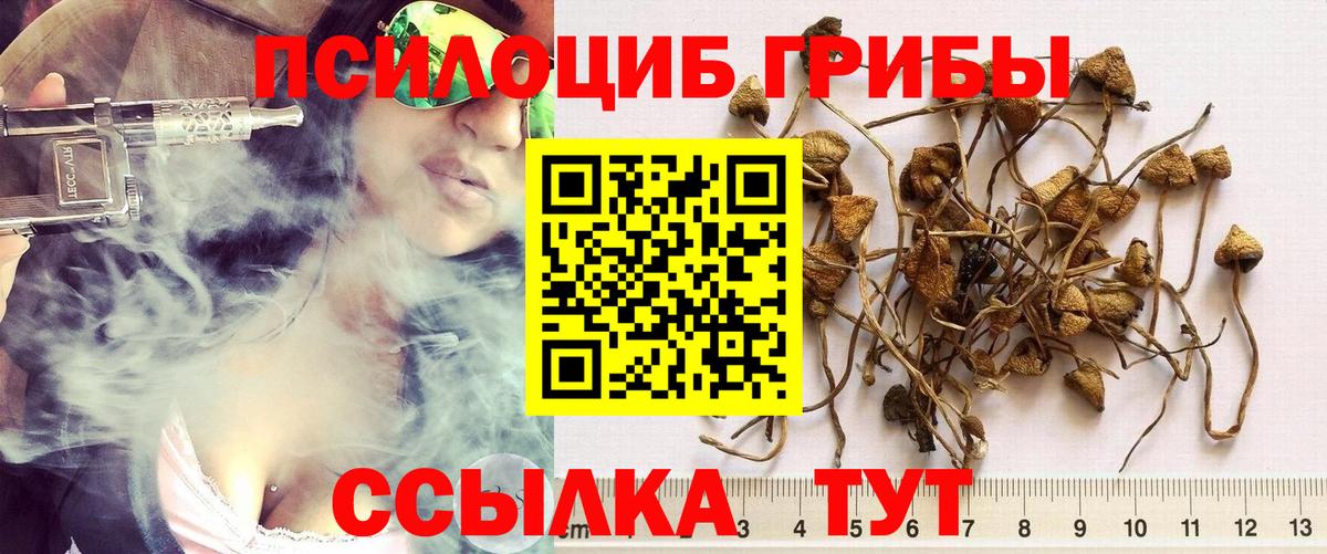 Янаул  закладка  Вход с VPN  Псилоцибиновые грибы Cubensis  Псилоцибиновые грибы Psilocybine cubensis 