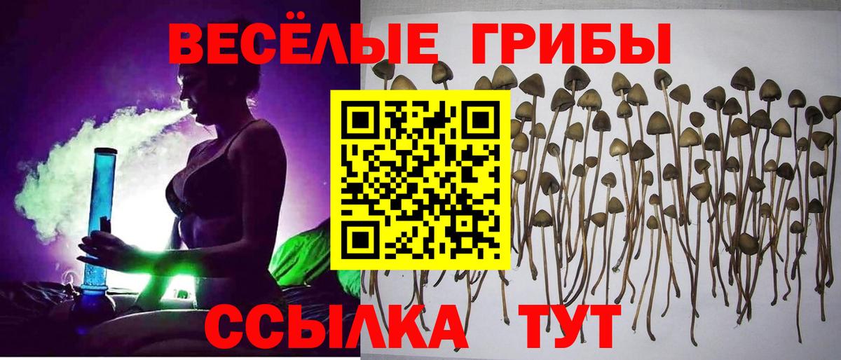 Псилоцибиновые грибы ЛСД Янаул